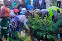 SGP#GEF#UNDP